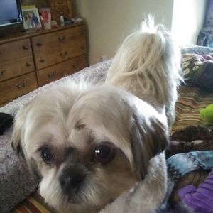 Meet your Posher, Regina